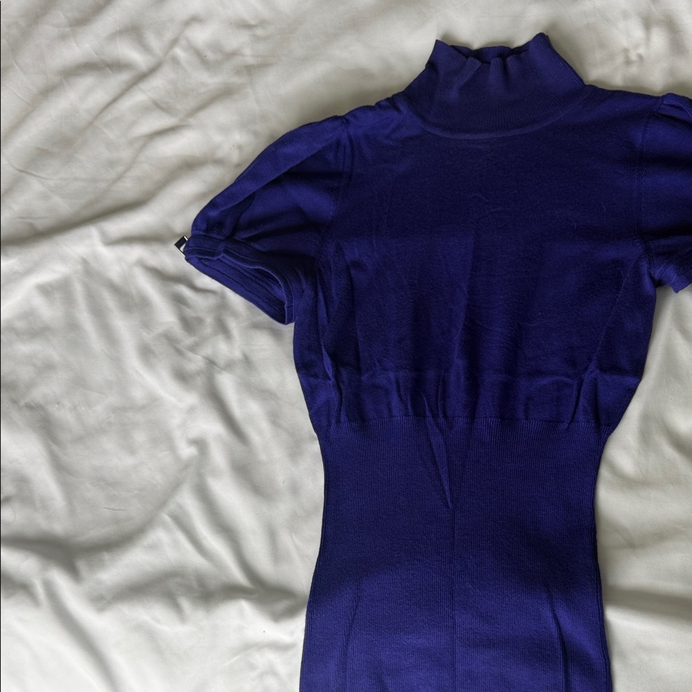 Express Vibrant Purple Knit Top